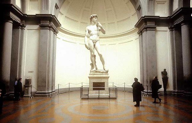 david